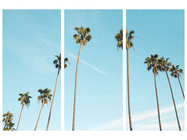 3-piece-canvas-print-a-sky-full-of-palm-trees