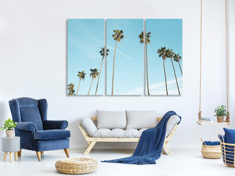 3-piece-canvas-print-a-sky-full-of-palm-trees
