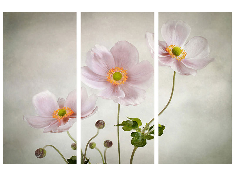 3-piece-canvas-print-anemones-ii