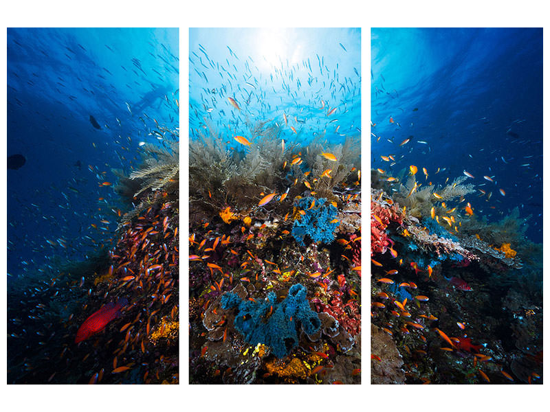 3-piece-canvas-print-apnea