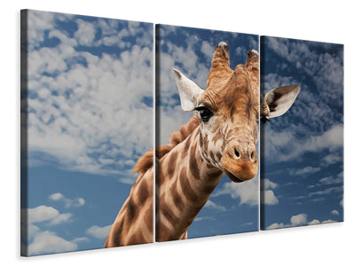3-piece-canvas-print-attention-giraffe