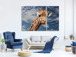 3-piece-canvas-print-attention-giraffe