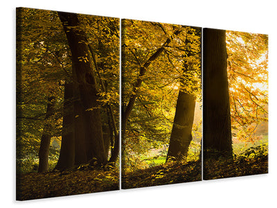 3-piece-canvas-print-autumn-leaves