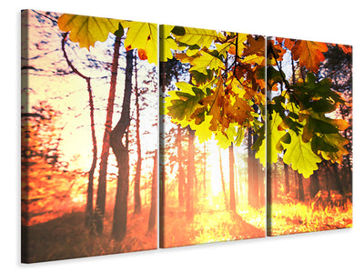 3-piece-canvas-print-autumn