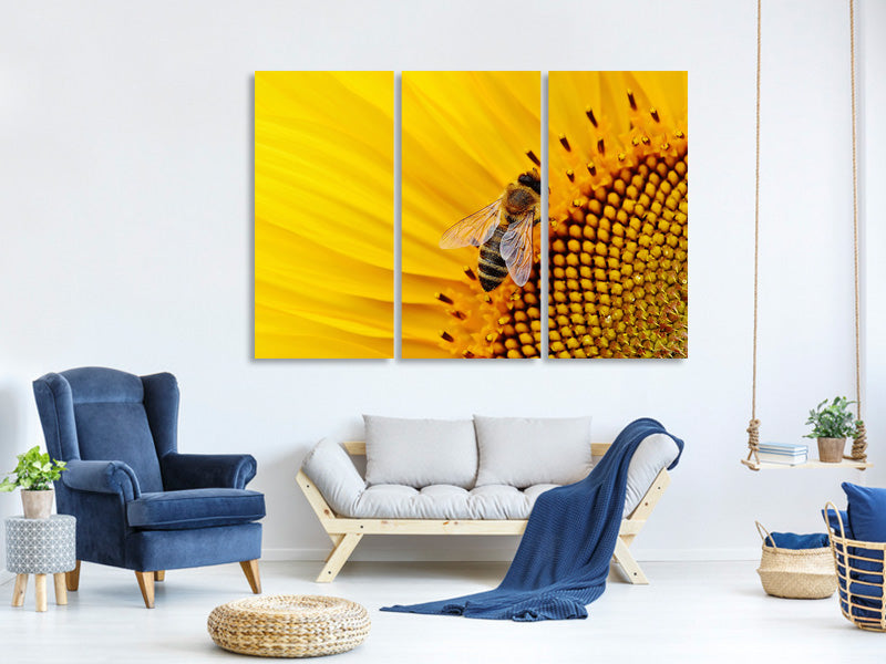 3-piece-canvas-print-bee-on-the-sunflower