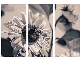 3-piece-canvas-print-bees-on-the-sunflower-sw