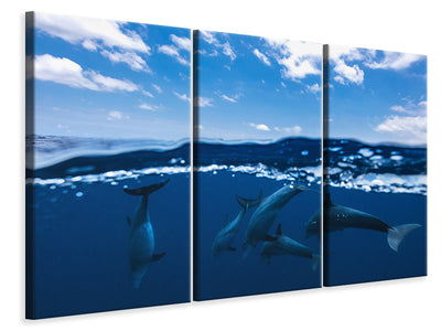 3-piece-canvas-print-between-air-and-water-with-the-dolphins