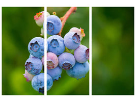 3-piece-canvas-print-blueberries-in-nature