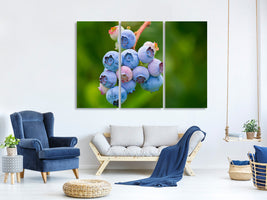 3-piece-canvas-print-blueberries-in-nature
