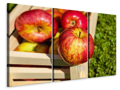 3-piece-canvas-print-box-of-apples