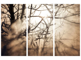 3-piece-canvas-print-branches-in-fog-light