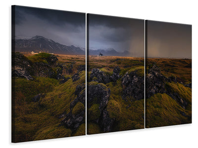 3-piece-canvas-print-budir