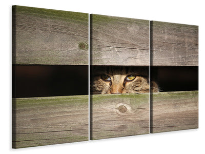 3-piece-canvas-print-cat-in-hiding