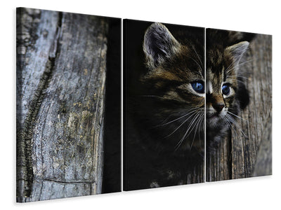 3-piece-canvas-print-cats-child