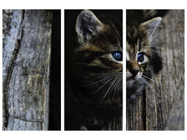 3-piece-canvas-print-cats-child