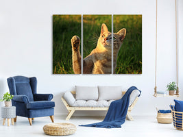 3-piece-canvas-print-cats-game