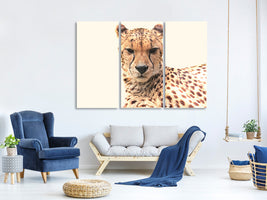 3-piece-canvas-print-cheetah-in-the-sun