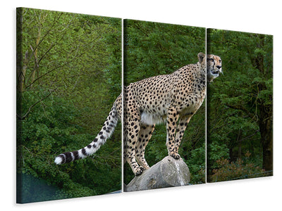 3-piece-canvas-print-cheetah-on-the-go