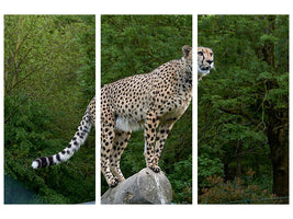 3-piece-canvas-print-cheetah-on-the-go