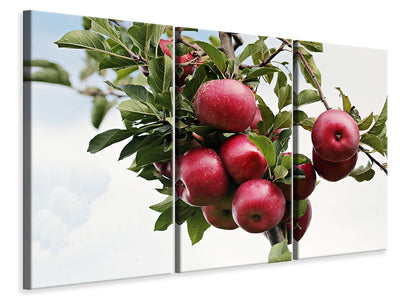 3-piece-canvas-print-close-up-apple-tree
