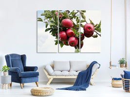 3-piece-canvas-print-close-up-apple-tree
