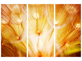 3-piece-canvas-print-close-up-dandelion-in-light