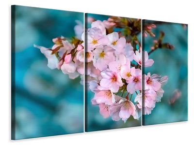 3-piece-canvas-print-close-up-flower