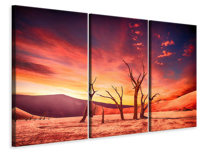 3-piece-canvas-print-colorful-desert