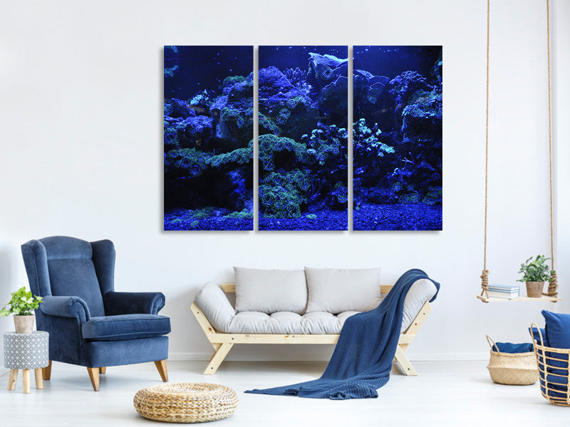 3-piece-canvas-print-coral-reef-in-blue