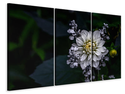 3-piece-canvas-print-dahlia-flower