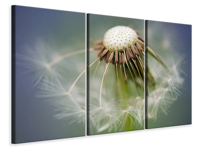 3-piece-canvas-print-dandelion-close-up