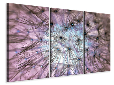 3-piece-canvas-print-dandelion-in-the-light-play