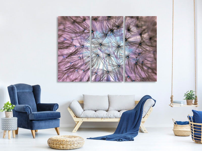 3-piece-canvas-print-dandelion-in-the-light-play