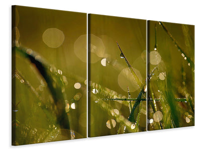 3-piece-canvas-print-dew-in-the-morning
