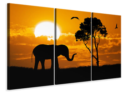 3-piece-canvas-print-dreamy-africa