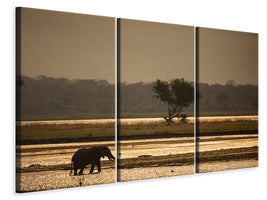 3-piece-canvas-print-elephant-alone-in-the-steppe