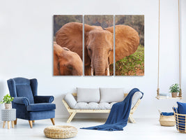 3-piece-canvas-print-elephant-ears