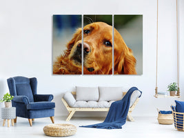 3-piece-canvas-print-faithful-irish-setter