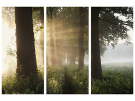 3-piece-canvas-print-first-day-of-summer