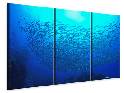 3-piece-canvas-print-fish-world