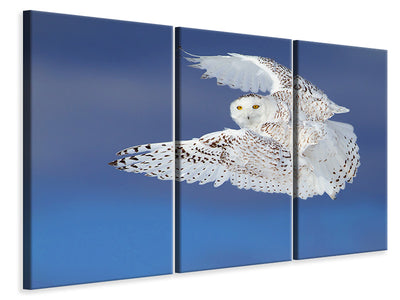 3-piece-canvas-print-flight-of-the-snowy-snowy-owl