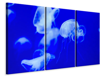 3-piece-canvas-print-floating-jellyfish