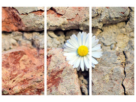 3-piece-canvas-print-flower-in-the-wall