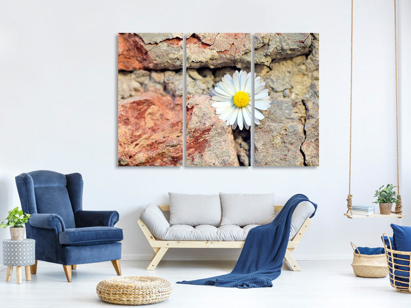 3-piece-canvas-print-flower-in-the-wall
