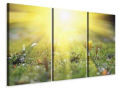 3-piece-canvas-print-flowery-meadow