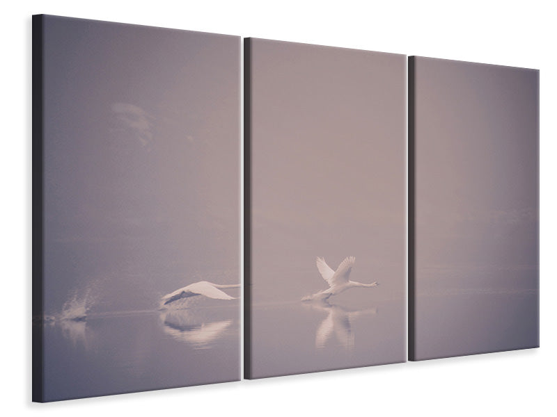 3-piece-canvas-print-foggy-takeoff
