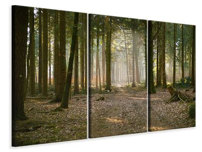 3-piece-canvas-print-forest-run