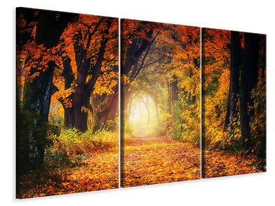 3-piece-canvas-print-forest-walk