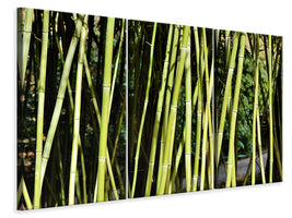 3-piece-canvas-print-fresh-bamboo