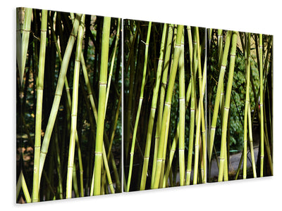 3-piece-canvas-print-fresh-bamboo